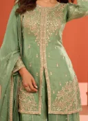 Green Fandy Silk Zari Embroidered Sequins  2
